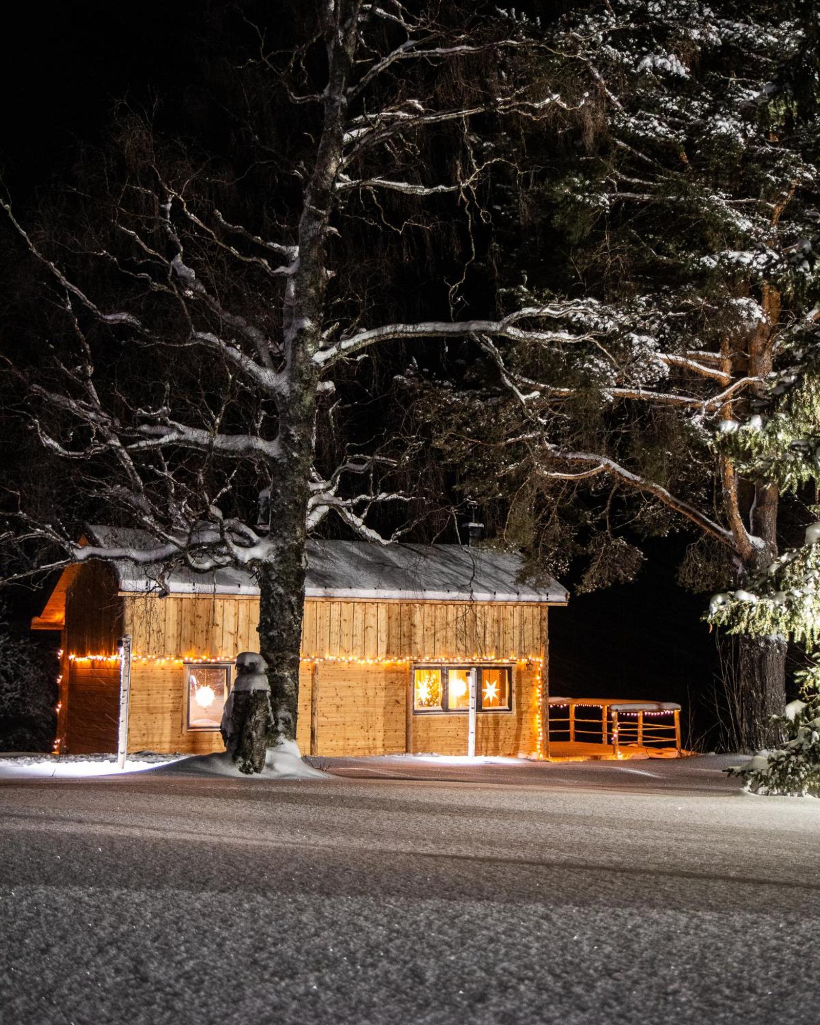 Blueberry Lodge 5 Personnes Mjolan Εξωτερικό φωτογραφία