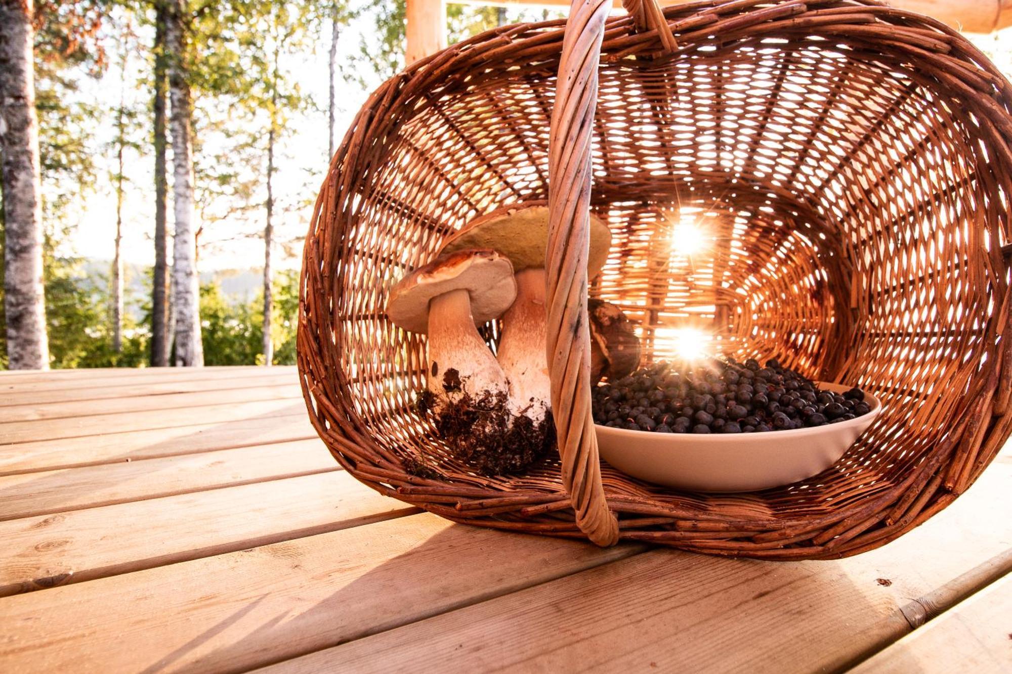 Blueberry Lodge 5 Personnes Mjolan Εξωτερικό φωτογραφία